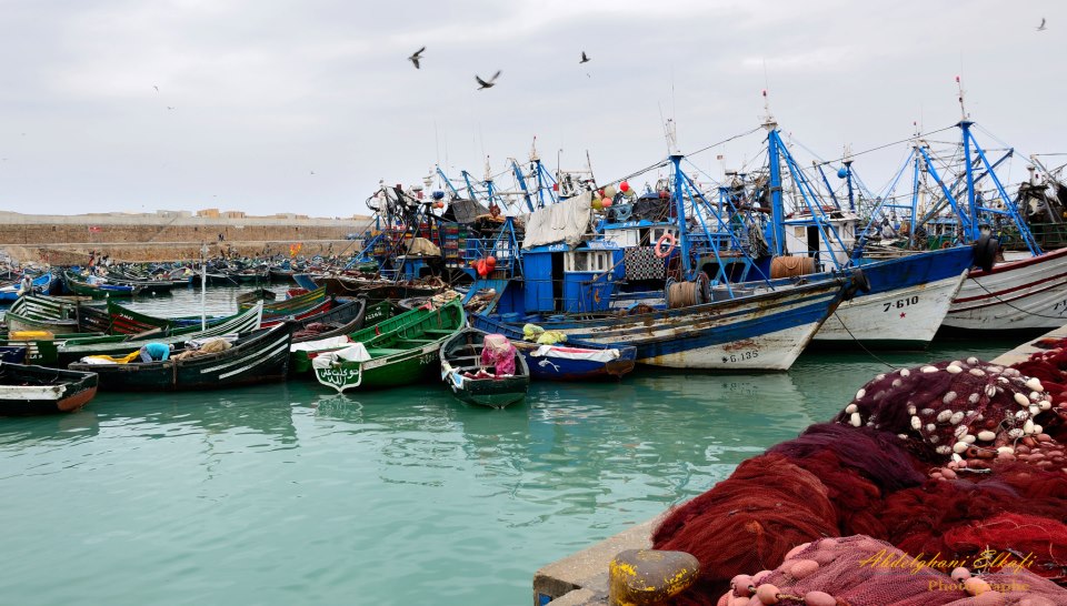  مدينة أسفي 1 - 