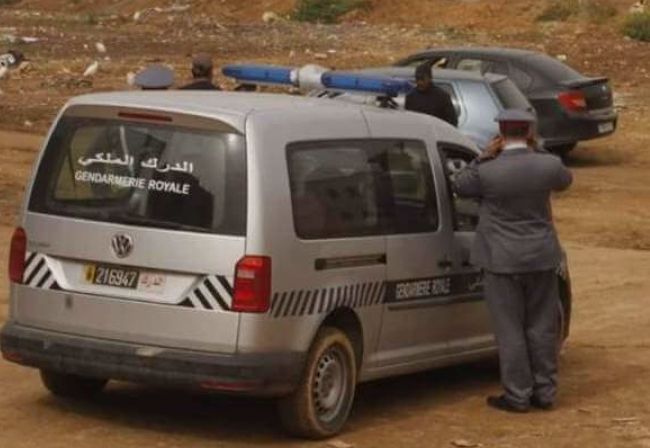 WhatsApp Image 2026 04 21 at 22.52.55 1 - 