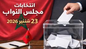 أسفي الكائنات الانتخابية وسياسة التفاهة وأشياء أخرى ….؟