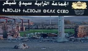 الكلاب الضالة بمركز جماعة سيدي شيكر… خطر متزايد يستوجب تدخلاً عاجلاً قبل فوات الأوان