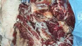 الصويرة: تنسيق أمني يُسفر عن تفكيك شبكة لنقل وبيع لحوم غير صالحة للاستهلاك.