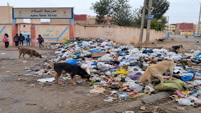 مدرسة السلام بجمعة سحيم بين النفايات والكلاب الضالة: من المسؤول عن هذه الكارثة؟