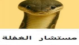 لك أنت مرشح الغفلة الرجولة بين المظهر والمضمون