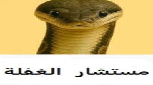 لك أنت مرشح الغفلة الرجولة بين المظهر والمضمون