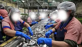 أسفي : هل تحترم معامل تصبير السمك بأسفي المعايير البيئية