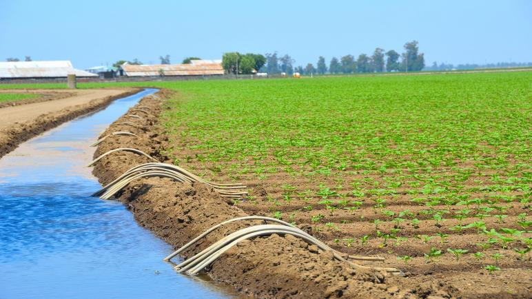 الإجهاد المائي يضع الفلاحة المغربية أمام تحدي تدبير الندرة