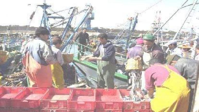 قطاع الصيد البحري: العمال من البحارة مستاؤون من استغلالهم المدعوم بصمت الدولة