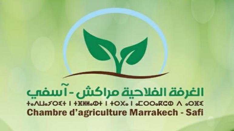 موظفوا الغرفةالفلاحية بأسفي ينظمون حفلا لمؤسسة الأعمال الاجتماعية ويستقدمون الصحافة من خارج الإقليم