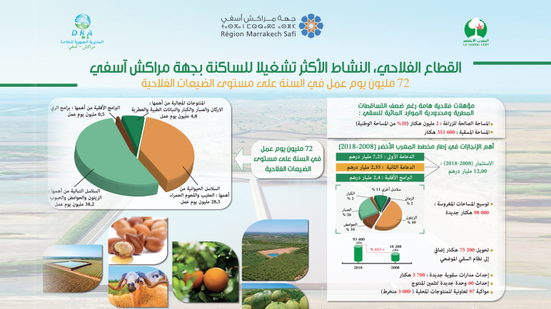 الفلاحة، قاطرة التشغيل بجهة مراكش أسفي