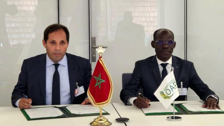 الجمعة 15 يوليوز 2022 : التوقيع على مذكرة تفاهم بين المكتب المغربي للملكية الصناعية والتجارية والمنظمة الأفريقية للملكية الفكرية في جنيف، سويسرا.